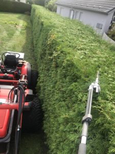 Landschaftspflege Hörz Hecken schneiden