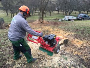 Landschaftspflege Hörz Baumstumpen fräsen